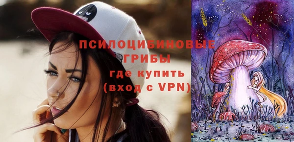 Альфа ПВП Алзамай