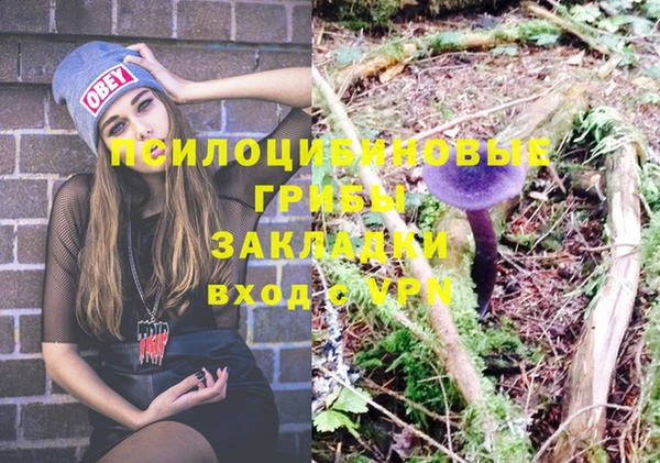 Альфа ПВП Алзамай