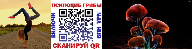 Галлюциногенные грибы Psilocybe  Полысаево 