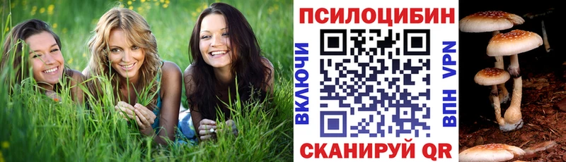 Псилоцибиновые грибы прущие грибы Полысаево